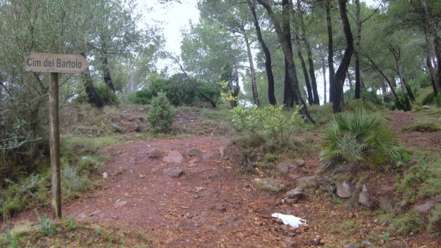 Camino del Bartolo